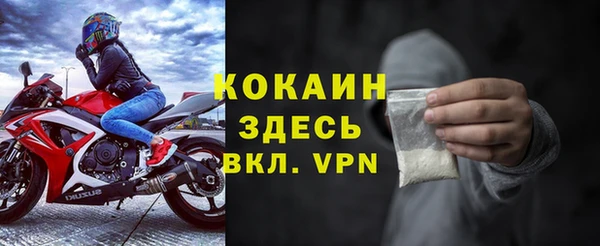 спайс Гусев
